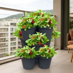 10 jordbærplanter 'Korona' og jordbærtårn i tre etasjer