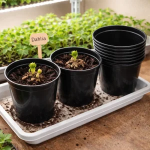 Potter til forkultivering | Pakke à 10 stk. 3,5 L planteskolepotter