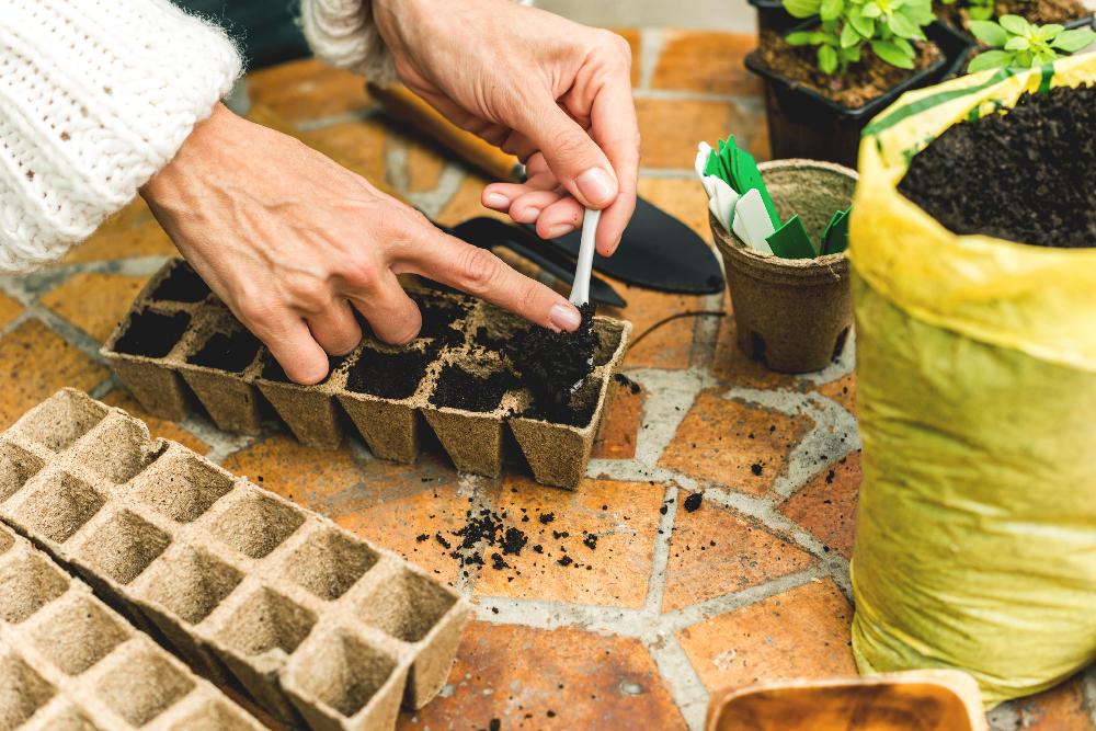 Utstyr til forkultivering