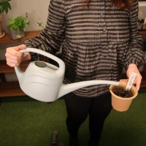 Vannkanne Eukalyptus - 2 liter