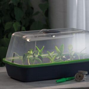 BoQube Minidrivhus med lys og varmematte