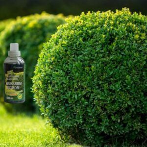 Buksbomgjødsel 500 ml (konsentrat)