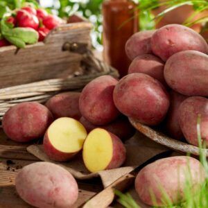 Nansen | 1 kg settepotet i nett