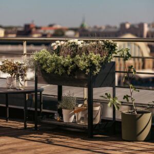 Plantekasse med underhylle | 78x36x72 cm