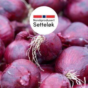 Rødløk ‘Red Baron’ | Sekk á 20 kg norskprodusert setteløk
