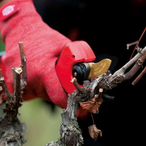 Felco F834V Beskjæringssaks | Batteridrevet | 30 mm klippekapasitet