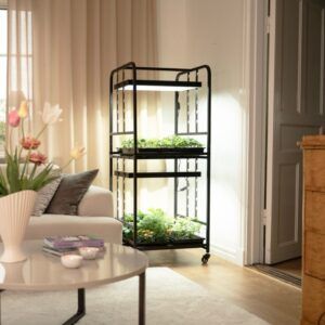 Dyrketralle Medium | 2 Etasjer | 2x36 W LED vekstlys