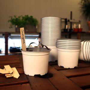 Potte 10,5 cm - Pakke á 50 stk.