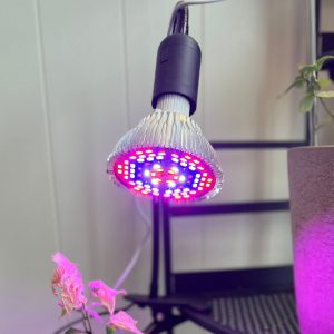 E27 vekstlyspære | Rød+Blå+Hvit | 24 W