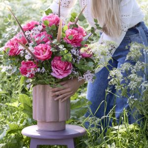 Peon 'Lady Anna' | 1 Barrotstaude