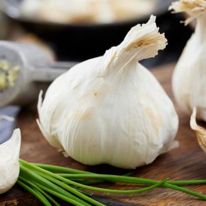 Hvitløk 'SABAGOLD' | 1 stk. settehvitløk