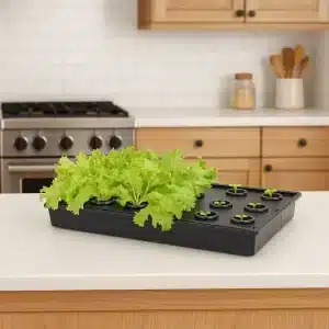 Minidrivhus 1020 for hydroponisk dyrking | 55x28x12 cm