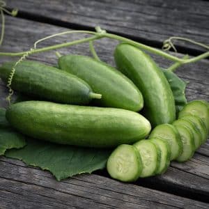 Slangeagurk 'Beth Alpha'