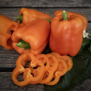 Paprika F1 'Kubista'