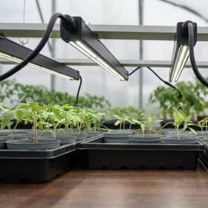 3 stk. Hageglede EDB 60 cm | 26 W LED Vektlys + Smartplugg