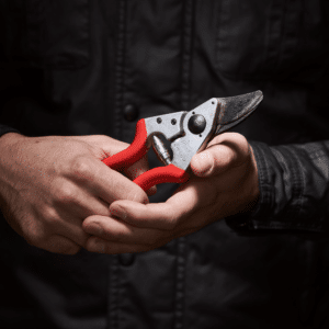 Felco 6 Beskjæringssaks | 20 mm klippekapasitet