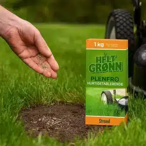Gressfrø Hurtigetablerende | 1 kg