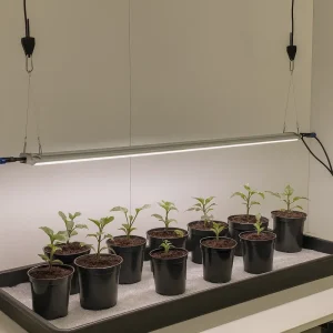 Hi-Fox | 2 stk. Fullspektrum LED vekstlys | 2x120 cm | 100W