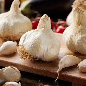 Hvitløk 'MESSIDOR' | 1 stk. settehvitløk