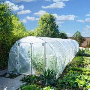 Dyrketunnel | 3,5x12m | 42m2