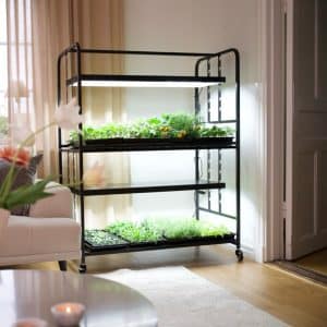 Dyrketralle Stor | 2 etasjer | 2x72 W LED vekstlys