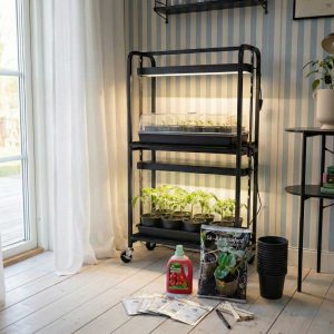 Ekstra stor tomatpakke: 5 typer tomat, dyrketralle, såutstyr og gjødsel