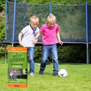 Gressfrø Robust | 1 kg