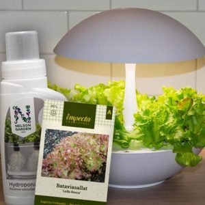 Frø til hydroponisk