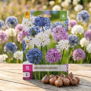 Allium 'Buzzing Beauties' | 15 blomsterløk av prydløk
