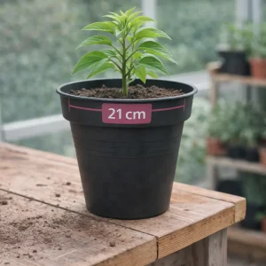 Blomsterpotte Camelie | Antrasitt | 21 cm