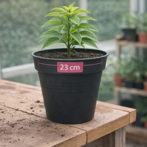 Blomsterpotte Camelie | Antrasitt | 23 cm