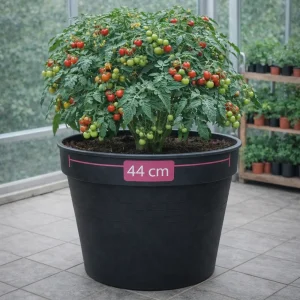 Blomsterpotte Camelie | Antrasitt | 44 cm