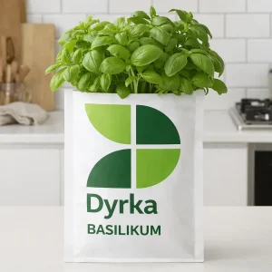 Basilikum i dyrkepose | Dyrka