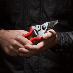 Felco 6 Beskjæringssaks | 20 mm klippekapasitet